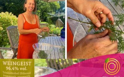 Tinktur aus Artemesia Annua – meine Erfahrung mit dem Pflanzengeist